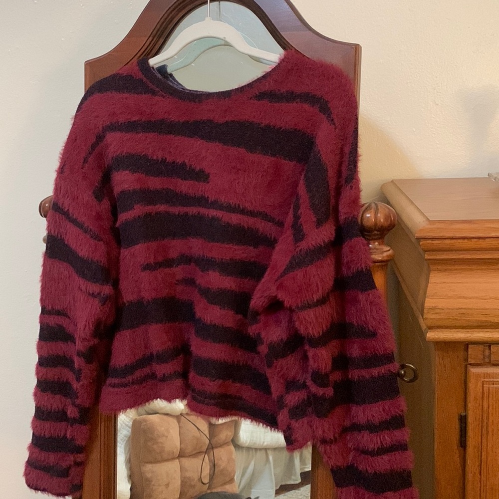 Francesca’s Cropped Zebra Sweater